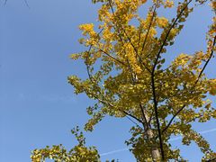 -汉长安城未央宫国家考古遗址公园