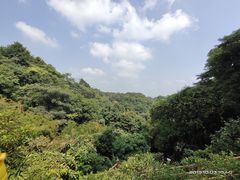 -广州市帽峰山景区