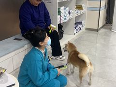 -中农国际动物医院24小时·猫科·骨科·急重症中心