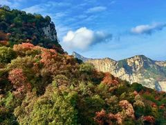 -少华山国家森林公园