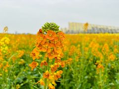 -中国天府农业博览园