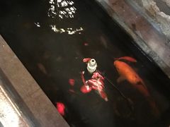 -唔呶喔哩酒家(生产街店)