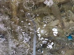 -三亚新鸿港水果一级批发市场