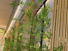 -绿茶餐厅(青岛城阳万象汇店)