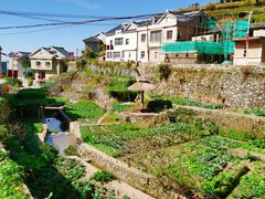 -军营村