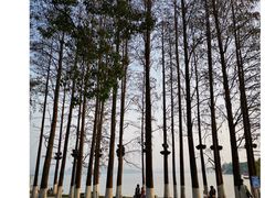 -东湖生态旅游风景区