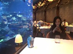 -迪拜帆船酒店海底餐厅