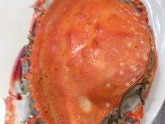 满黄大海蟹-小铜锣湾海鲜家常菜馆(河西店)