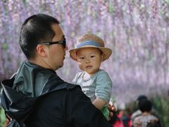 -苏州太湖国家湿地公园