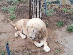 -秦皇岛野生动物园