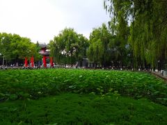 -四川大学(望江校区)