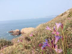 -枸杞岛