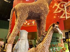 -Behring World of Animals(上海自然博物馆店)