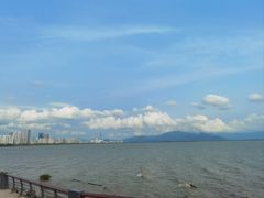 -深圳湾公园(南山区)