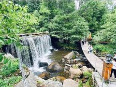 -汤旺河林海奇石景区