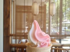 -鸽舞笙平金牌烧鸽子·融合菜(鲁谷店)