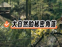 -莫干山风景区