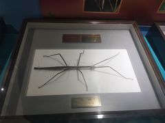 -上海昆虫博物馆