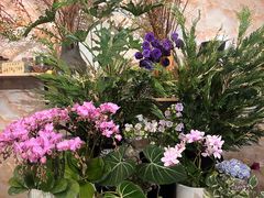 -花二家·生活馆(六运小区店)