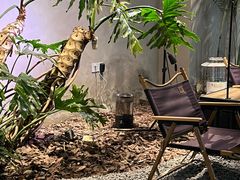 -J Create城市露营咖啡·简餐·宠物(上海动物园店)