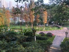 -重庆彩云湖湿地公园