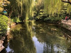-趵突泉景区