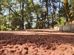 -南宁良凤江国家森林公园