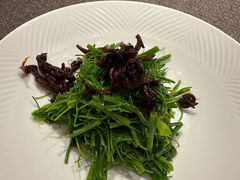 -醉东Oriental House(静安嘉里中心店)