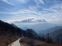 -朱雀国家森林公园