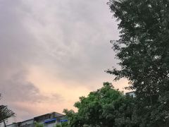 -太平洋影城(紫荆店)