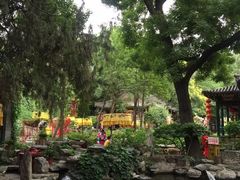-白家大院·王府宫廷菜(苏州街店)