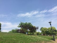 -羊山湖公园