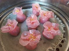 -悦芽照护月嫂+育儿嫂(杭州店)