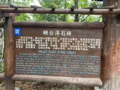 -峡谷浮石林景区