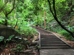 -火炉山森林公园