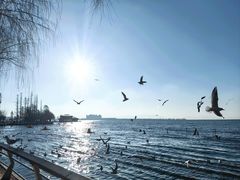 -滇池海埂公园