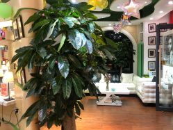 -艺米阳光Hair Salon