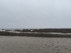 -启东黄金海滩景区