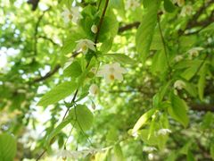 -幕燕滨江·长江观音景区
