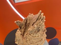 -野人先生现做冰淇淋(北京王府井东方新天地店)