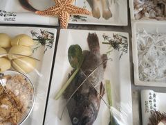 -宾朋海鲜特色美食餐厅·纯手工鲅鱼水饺(兴海路店)