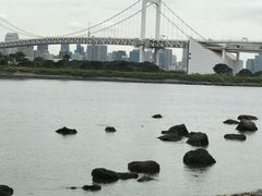 -台场海滨公园船码头