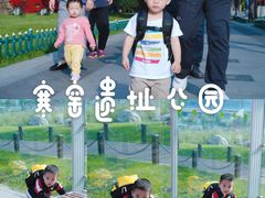 -西安曲江寒窑遗址公园