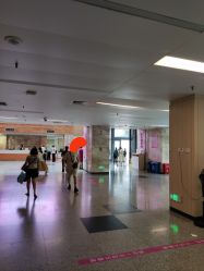 -福建省妇幼保健院(道山路院区)