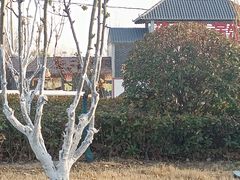 -微山岛春天里酒家