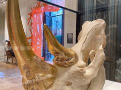 -drivepro(三里屯店)