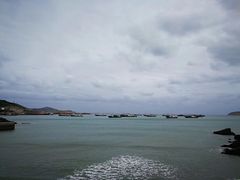 -枸杞岛