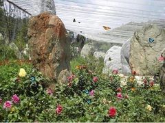 -昆明市金殿名胜区