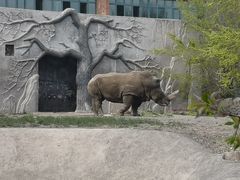 -新疆天山野生动物园