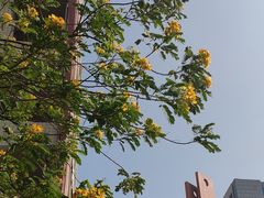 -广西医科大学第一附属医院